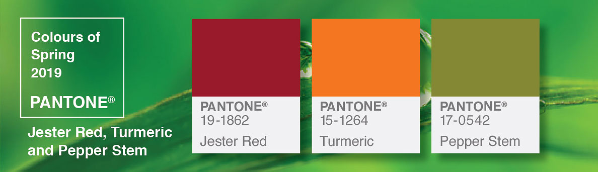 Article Pantone Header image