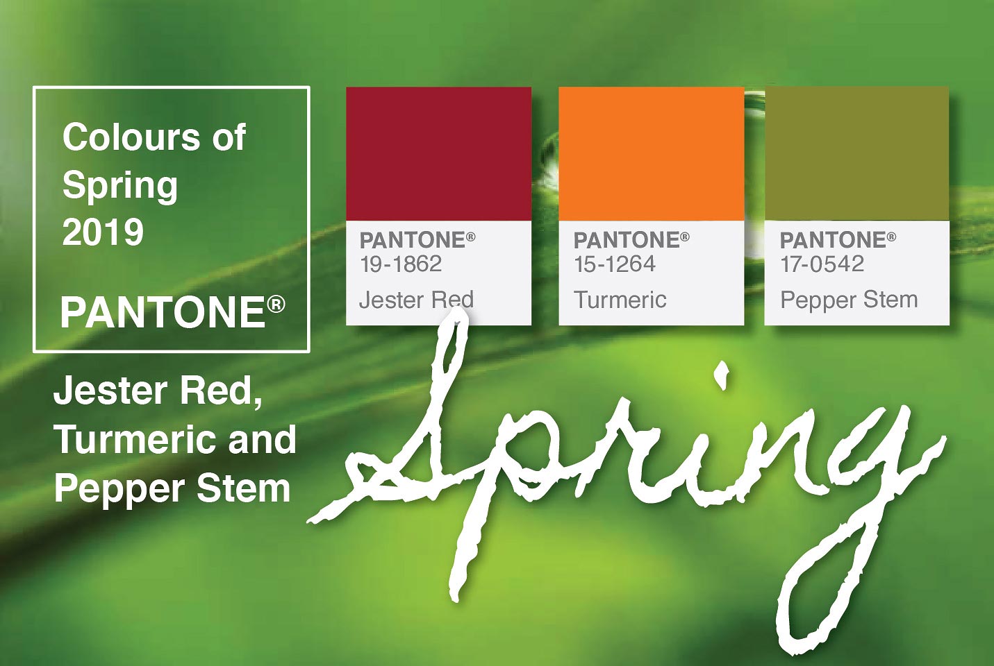 image of pantone inforgraphic colors
